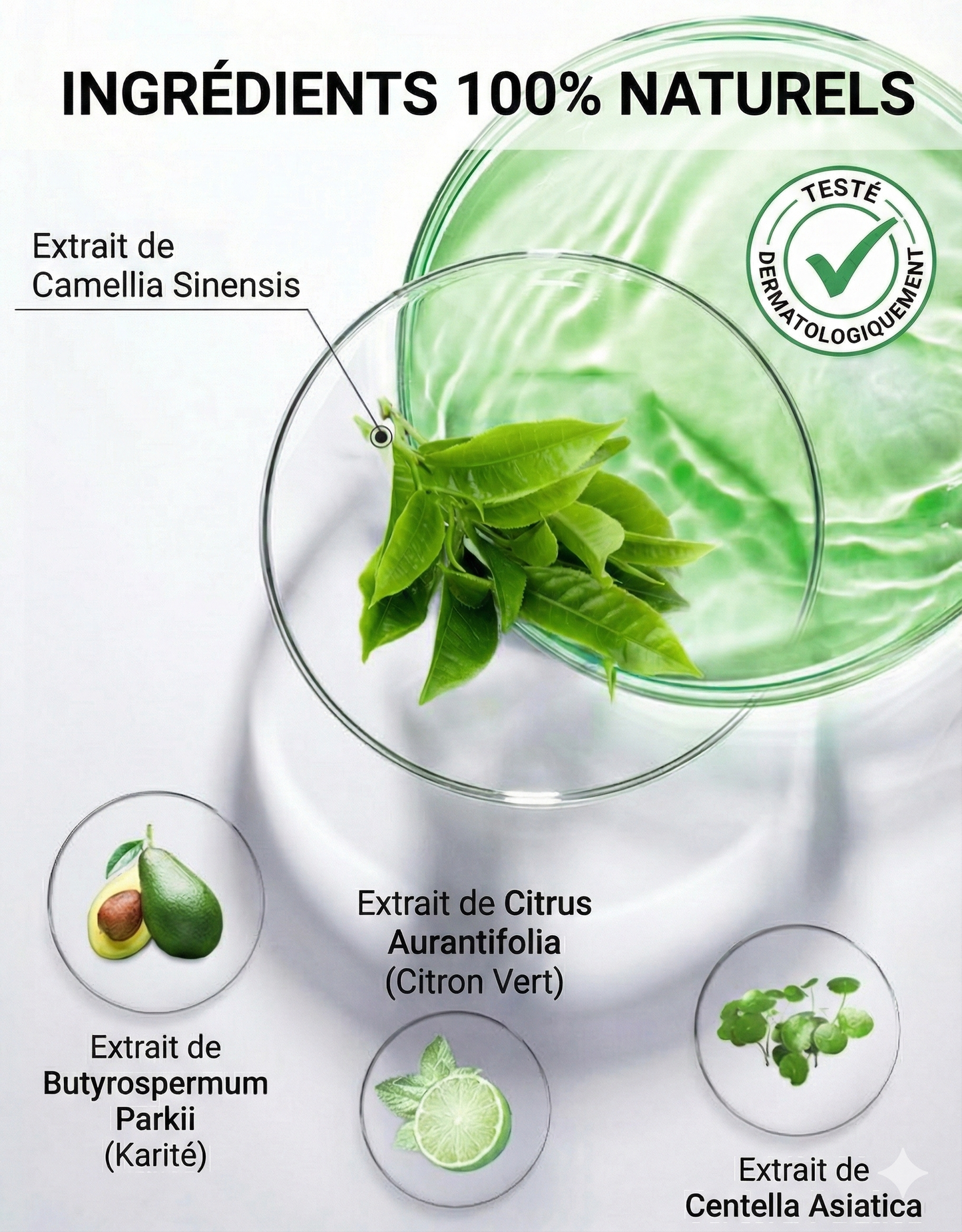 Green mask- visage lisse et éclatant